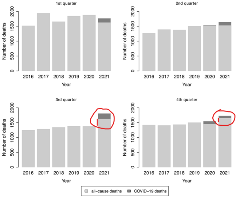 Spike in Deaths Concurrent With Vaccinations Must Be Investigated by Authorities, Study Says