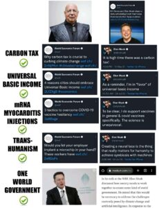 musk-comparison.jpeg