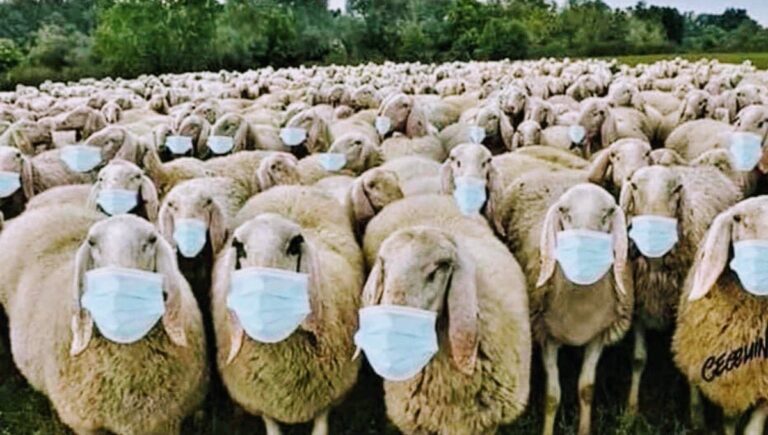 Is There No Cure For Maskaholics?