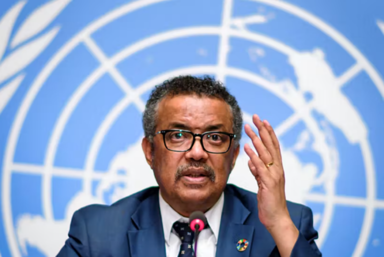 The WHO’s Public Health Colonialism