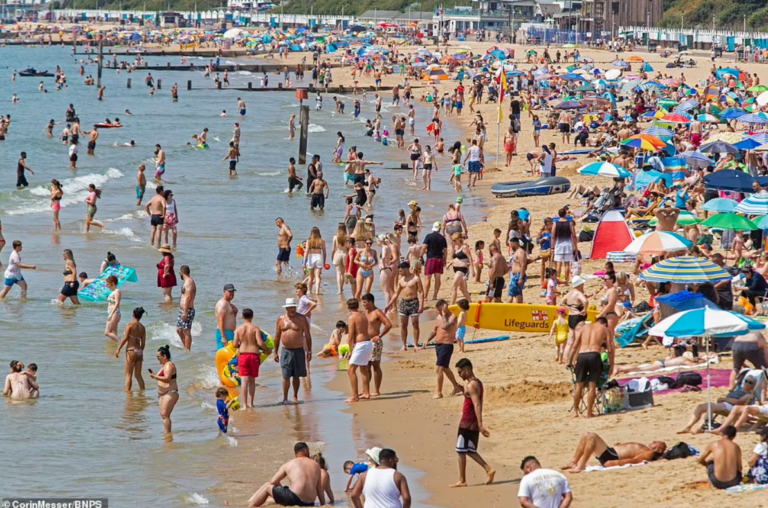 Will it Really Hit 43°C Today? Send Your Thermometer Readings and Let’s Find Out