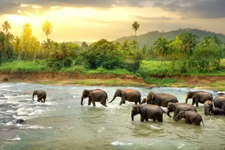 The Unrest in Sri Lanka Has Been Exaggerated
