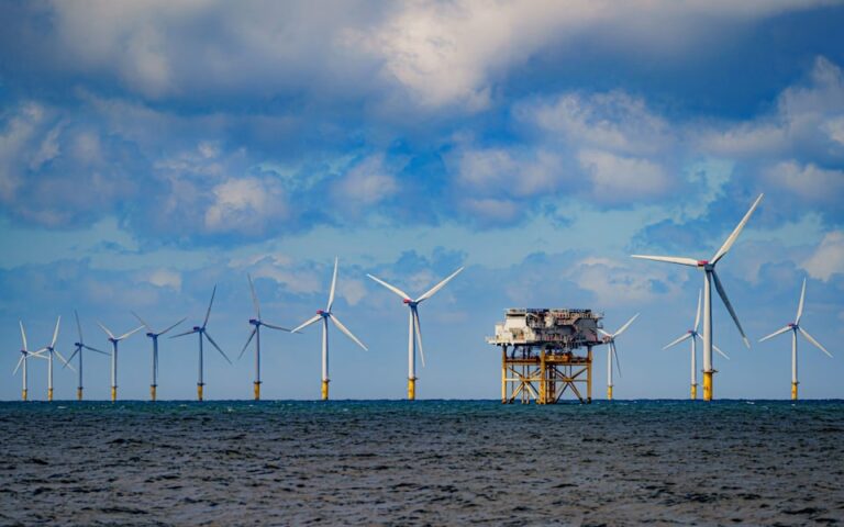 Hit Pause on Net Zero, Tory Voters Tell Next Prime Minister
