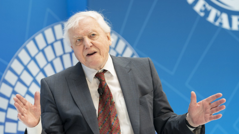 Coral Cannot be at Record Levels – That is Not What Sir David Attenborough Told Me