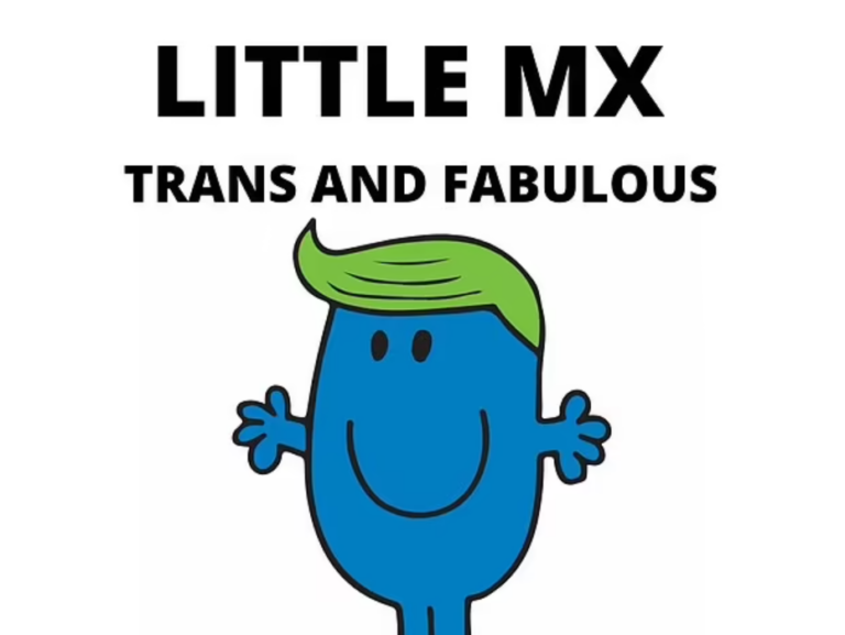 Trans Charity Mermaids Uses Mr. Men and Little Miss Characters to Promote Gender Ideology to Young Children