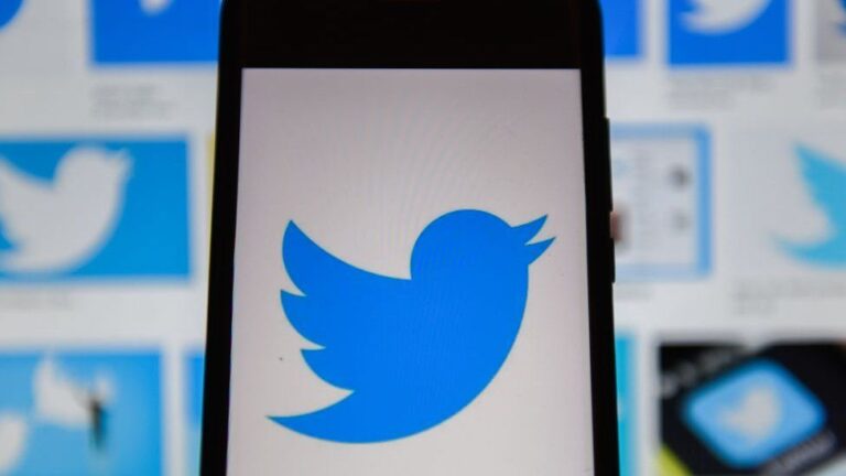 Did Bots Skew Elon Musk’s Twitter Poll?