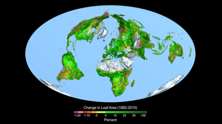 Massive Increase in Global Greening as Extra Carbon Dioxide Boosts Global Crop Yields