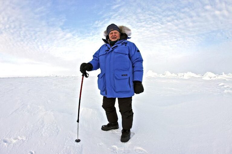 David Attenborough’s Scaremongering About Arctic Sea Ice in His New BBC Series is Bordering on Misinformation