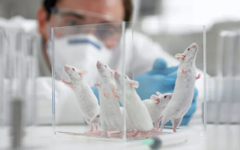 How Worried Should We Be About Boston University’s Gain-of-Function Covid Virus That Kills 80% of Mice?