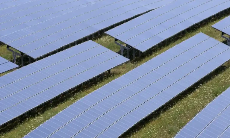 Solar Energy Firm Collapses Owing £655 Million to British Taxpayers