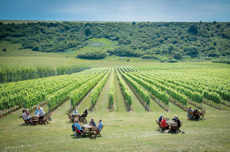 England’s Booming Wine Industry is Because the Climate is Getting Warmer – But it also Boomed in the Early Medieval Warm Period