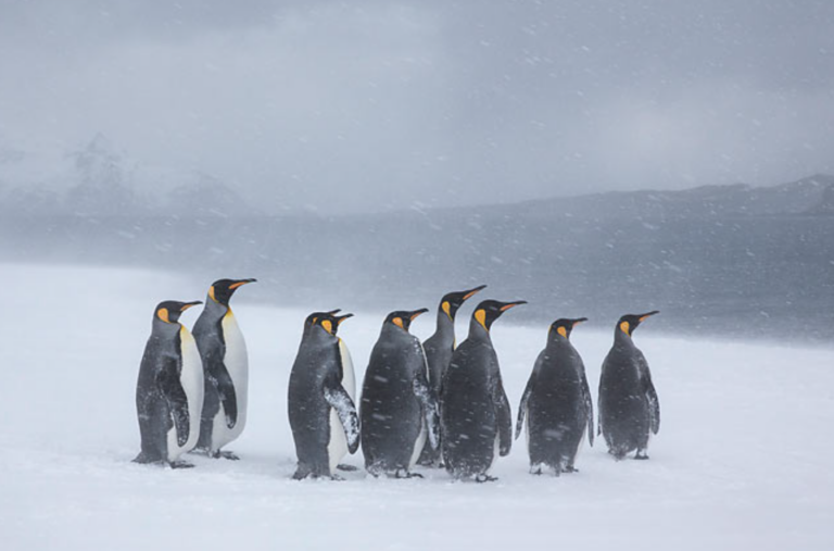 South Pole Hits Record Cold November Temperatures
