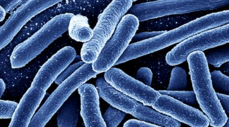 Sharp Drop in Treatment for Blood Infections Due to Lockdown Causes Hundreds of Avoidable Deaths