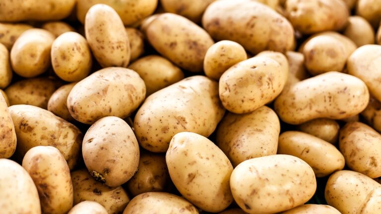 Pure Mashed Potatoes Served Up in Latest BBC Climate Scare Story
