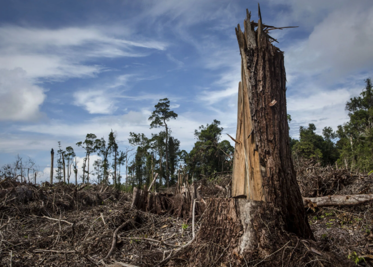 Daily Mail Promotes ‘Sixth Mass Extinction’ Scare that Experts Call “Junk Science”