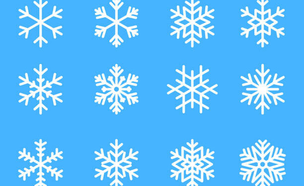 snowflake winter set of blue isolated icon silhouette on white background vector illustration.