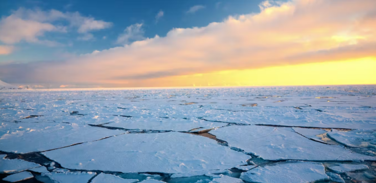 Arctic Sea Ice Continues its Stonking Recovery