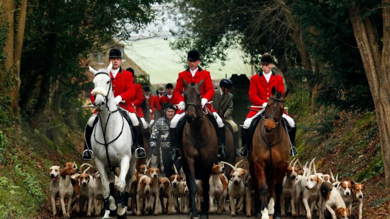 Barrister Who Drafted Hunting Ban Admits it Was Driven by ‘Moral Outrage’, Not Animal Welfare