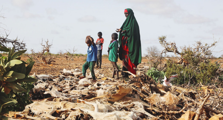Somalia’s Drought is Nothing to Do With Climate Change