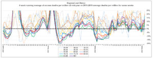 Excess-mortality-by-5-yr-age-band.jpg
