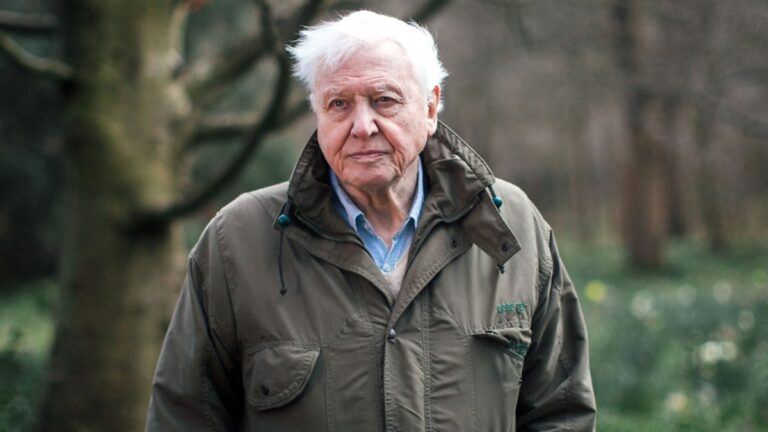 Attenborough Ramps Up Climate and Ecological Breakdown Fears