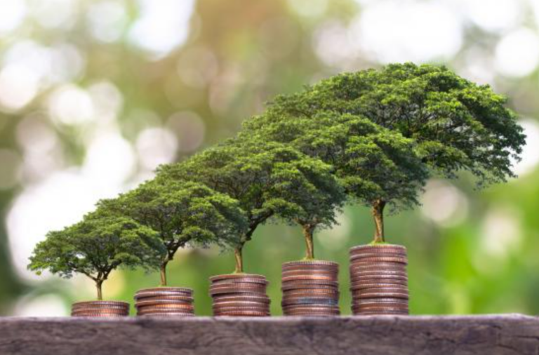 Let’s All Play the ‘Growth vs Green’ Game