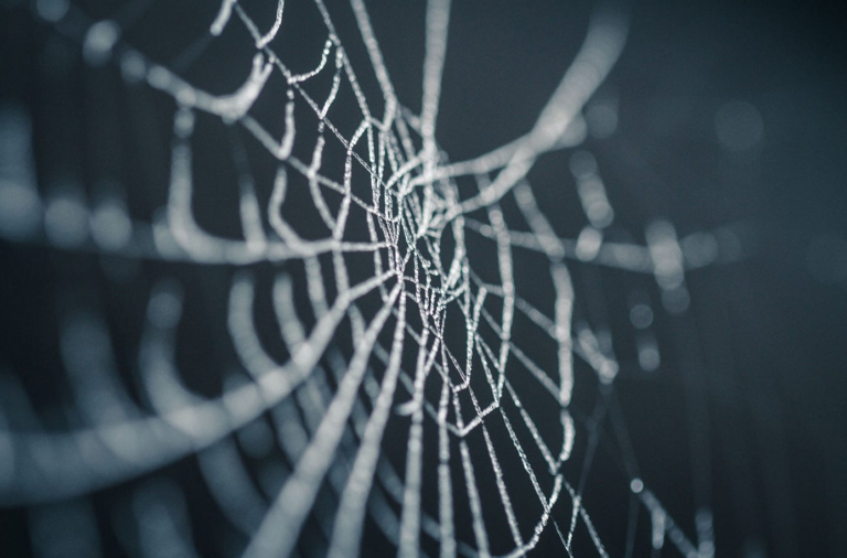 Cutting Through the Web of Global Censorship Bankrolled by Billionaires