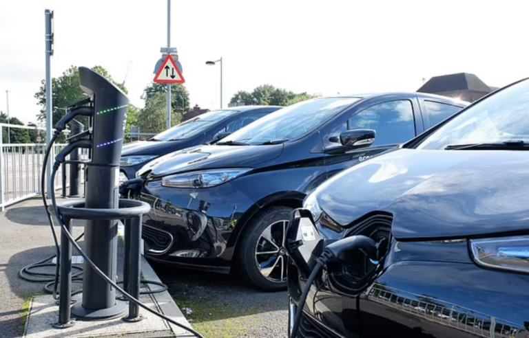 The Great Reset Didn’t Work: The Case of EVs