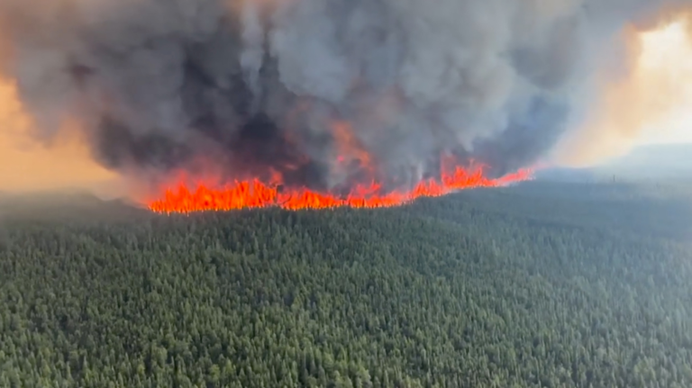 Canadian Wildfires Blamed on Climate Change – But Fire Numbers Are at Historic Lows