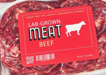 Lab grown cultured meat concept for artificial in vitro cell culture meat production with frozen packed raw beef meat with made up red label