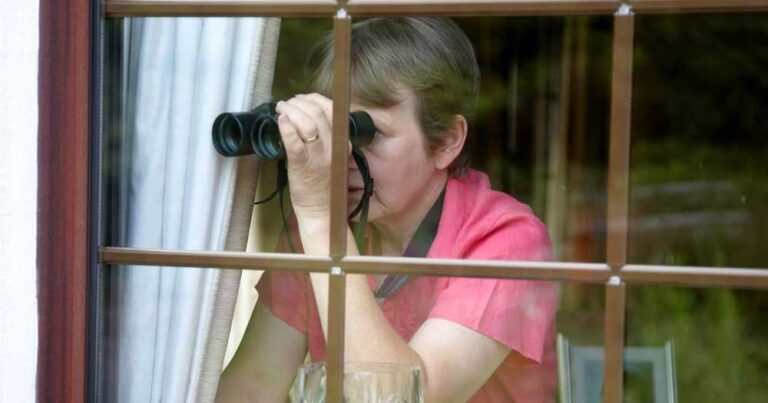 Britain Has Become a Nation of Curtain-Twitching Tell-Tales