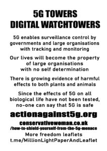 04b 5g towers digital watchtowers  MONOCHROME copy.jpg