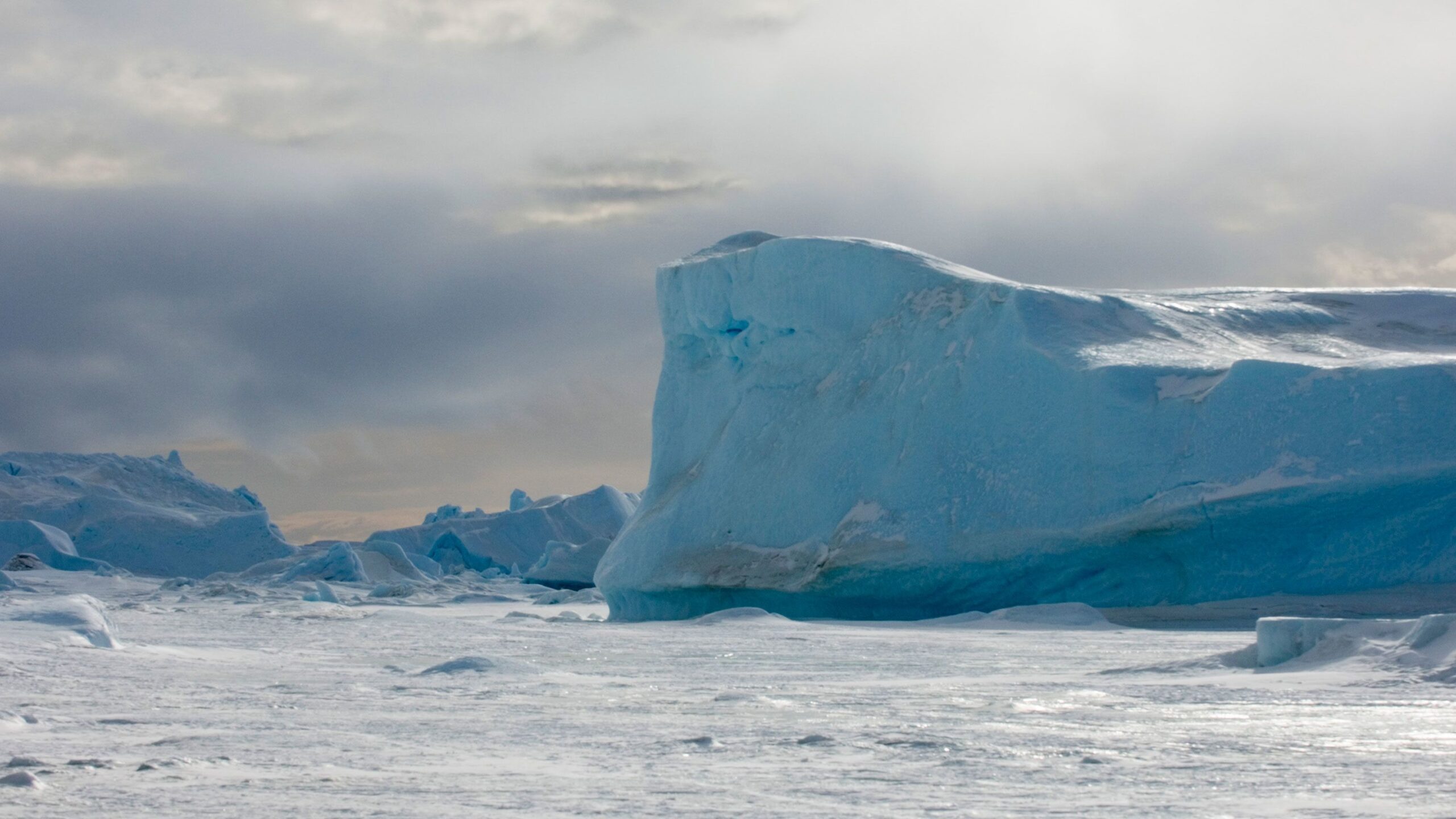 Температура в Западной Антарктиде упала на 2°C за 20 лет
