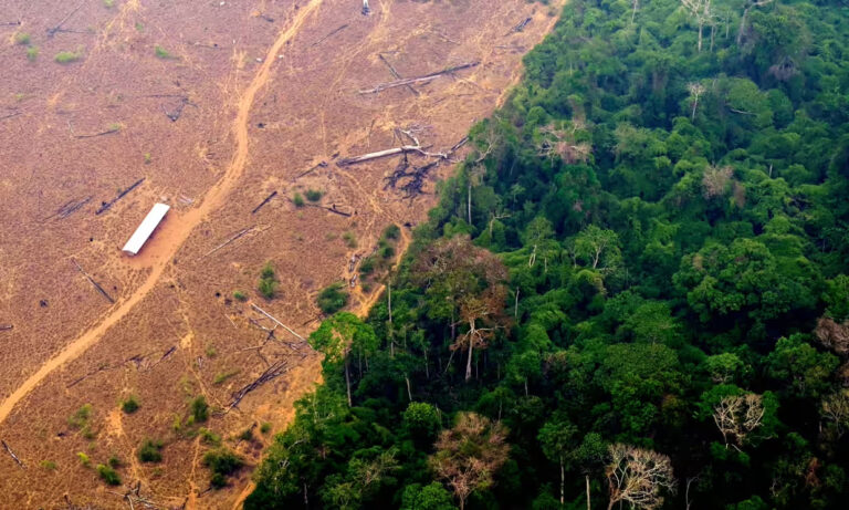 Emergency? What Emergency? Amazon Deforestation Falls Over 60% Compared With Last July, Says Brazilian Minister