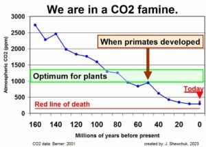 CO2 FAMINE.jpg