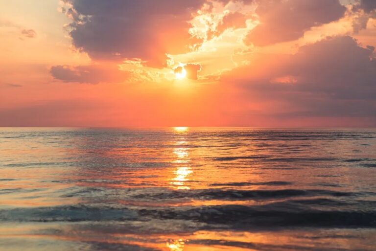 New Paper by Climate Contrarian Dr Judith Curry Debunks Climate Hysteria about 2023’s Hot Weather