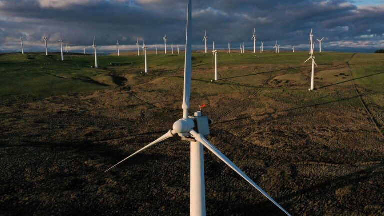 Population is Not Being Told the True Cost of Net Zero, Warns Former World Bank Economist