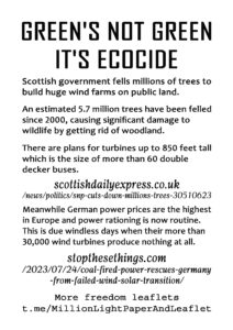 12a Greens not green its ecocide MONOCHROME copy.jpg