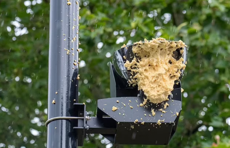 Furious Motorists Destroy More Ulez Cameras Across London