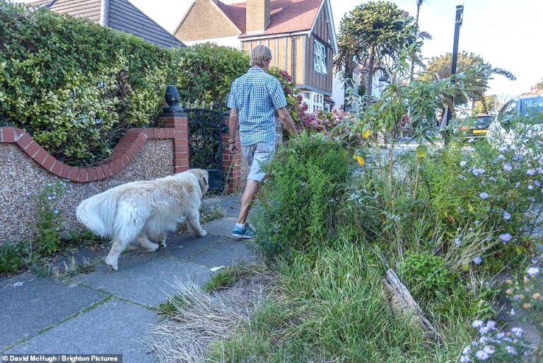 How Nature Has Reclaimed the Streets of Brighton After Woke Council’s ‘Rewilding’ Plan