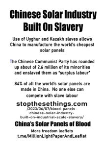 01a Chinese Solar Industry Built On Slavery copy.jpg
