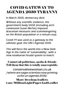 08a Covid Gateway to Agenda 2030 Tyranny MONOCHROME copy.jpg