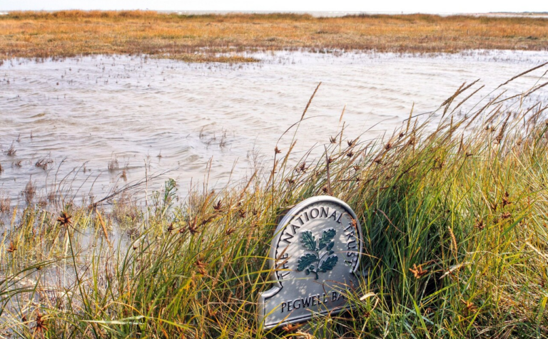 National Trust Claims Climate Change “Hazards” Threaten its Properties and Demands Government Create “Minister for Climate Adaptation”