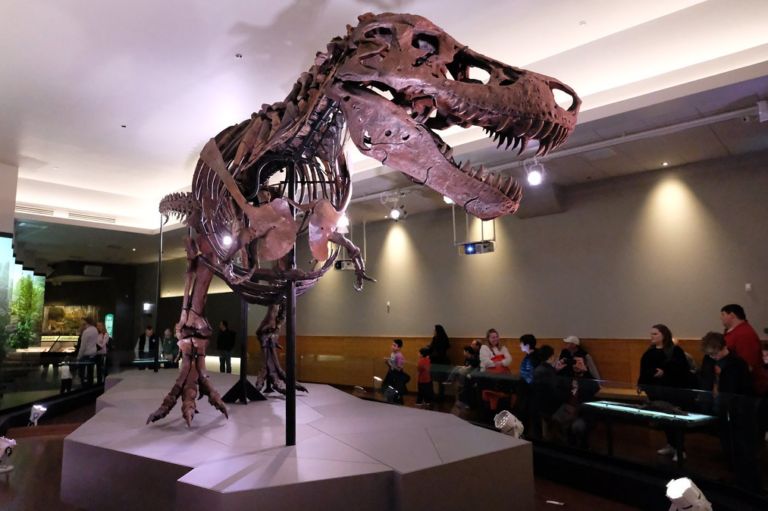 Trannysaurus Rex: The Activist Academics ‘Queering’ Dinosaurs