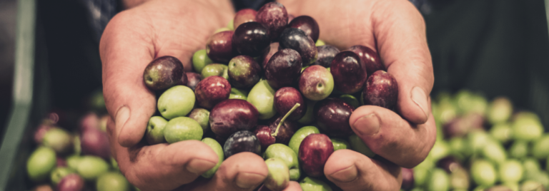 A Few Months of Drought and the BBC Blames ‘Climate Change’ For Spanish Olive Oil Shortfalls
