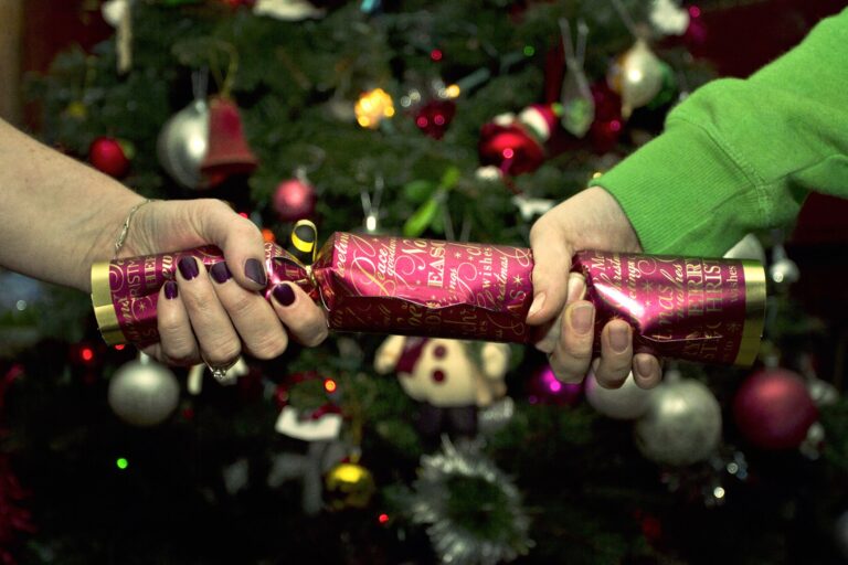 Happy Christmas From Everyone at the Daily Sceptic