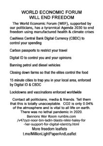 12a-World-Economic-Forum-Will-End-Freedom-MONOCHROME-copy