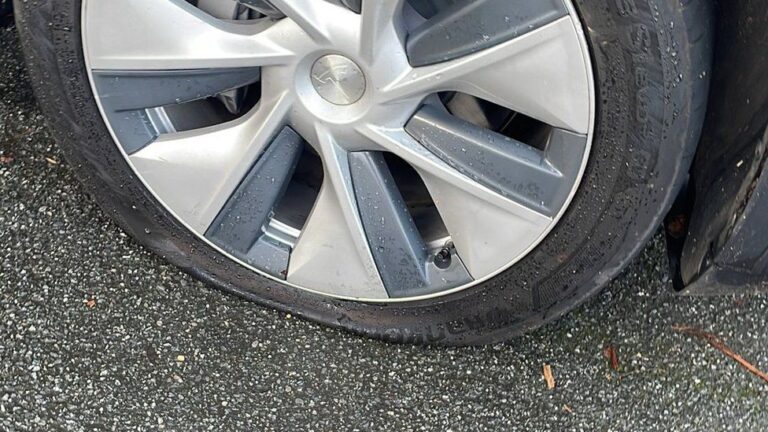 Climate Activists Declare War on “Gas Guzzler” Cars… by Vandalising an Electric Tesla