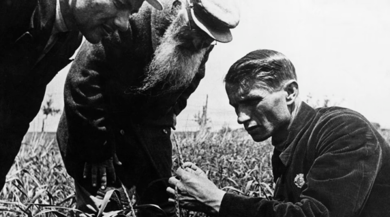 Post-Traumatic Slave Disorder: How Soviet Pseudoscience is Being Rebranded to Claim ‘Reparations’ from White People