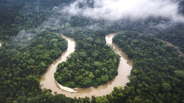 What Drought? Amazon Data Show Little Overall Rainfall Change in 300 Years